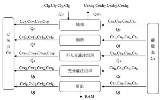 Quantitative risk evaluation method and system based on combined action of mixed benzene series