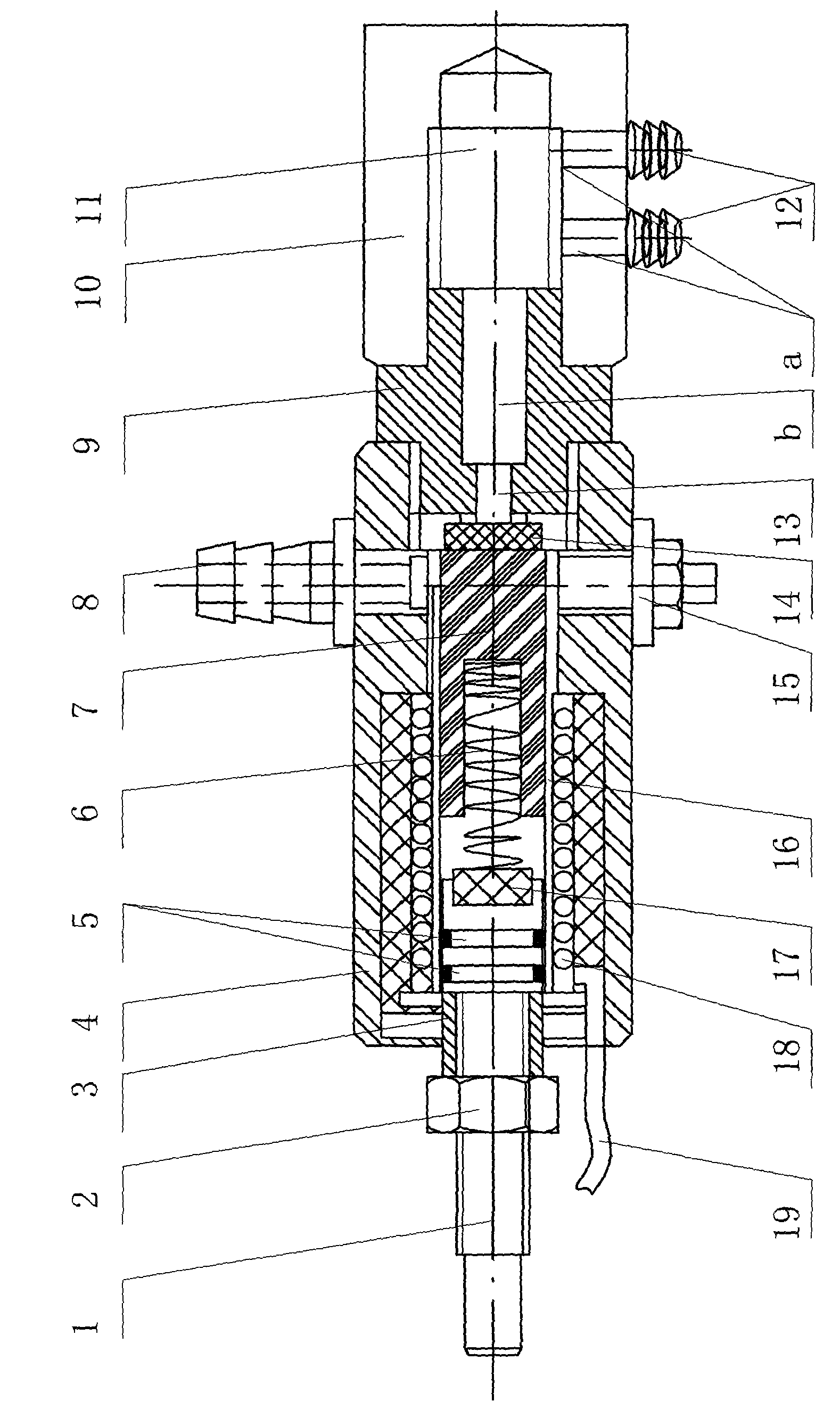 Automobile fuel gas injection valve