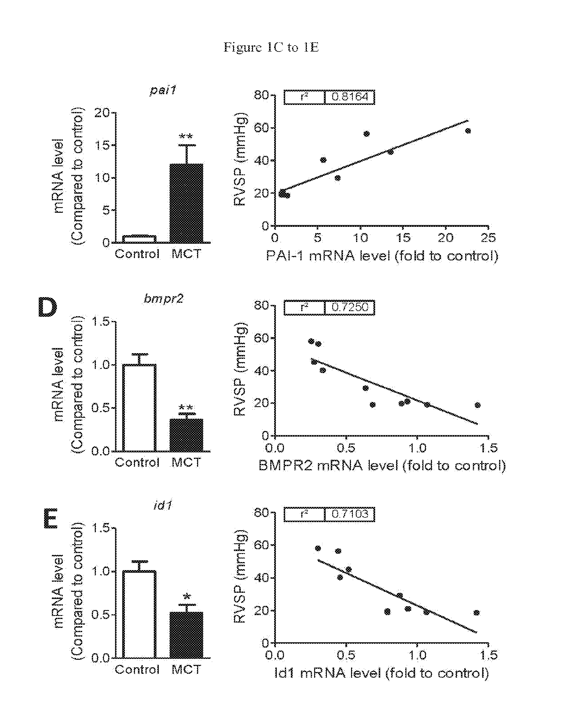Compositions and methods for treating pulmonary hypertension