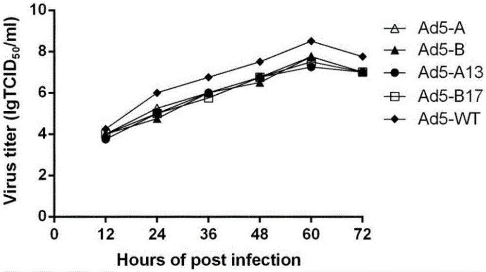 Recombinant adenovirus expressing human enterovirus 71 capsid protein and vaccine prepared from same and application thereof