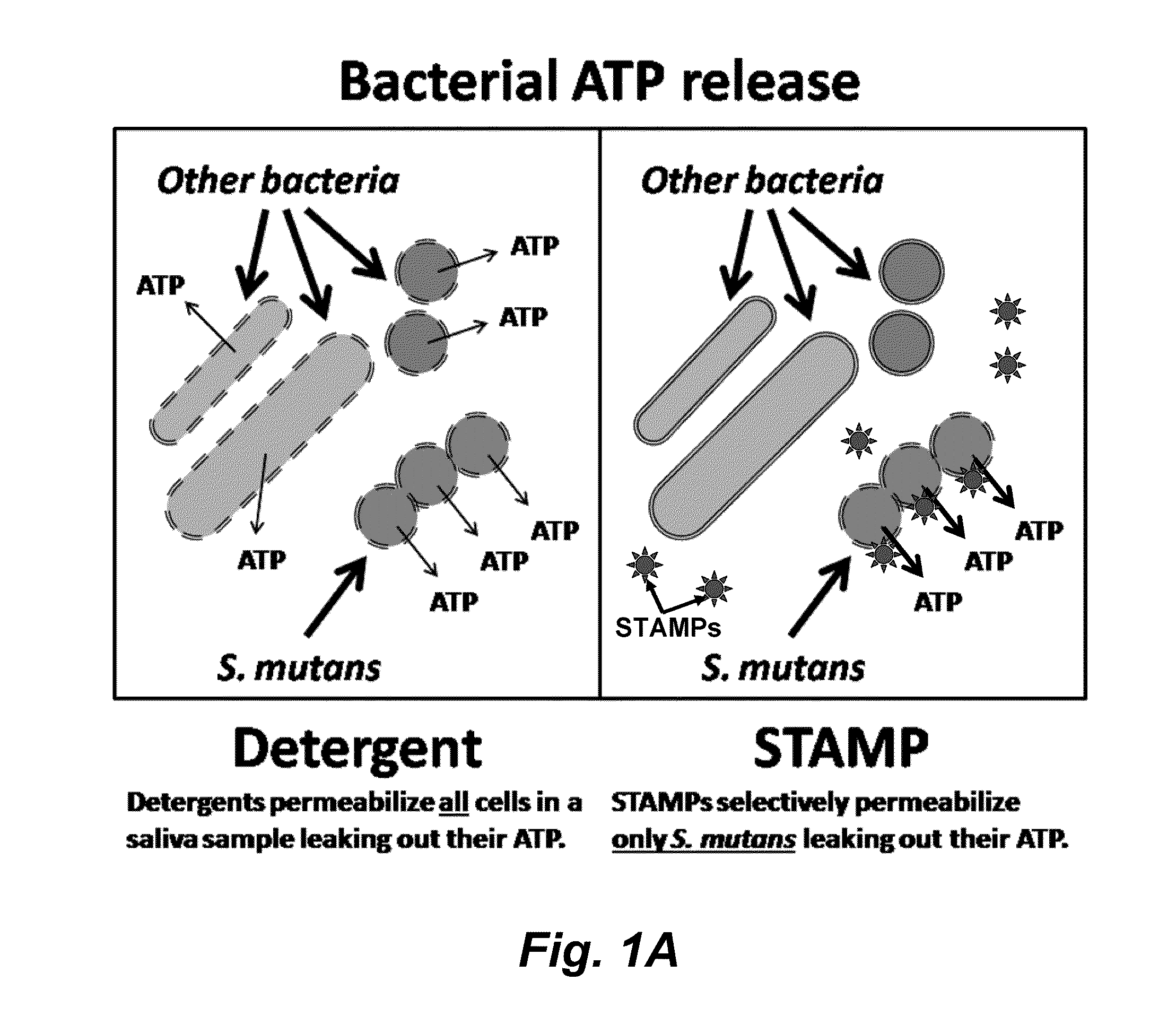 Methods and devices for the selective detection of microorganisms