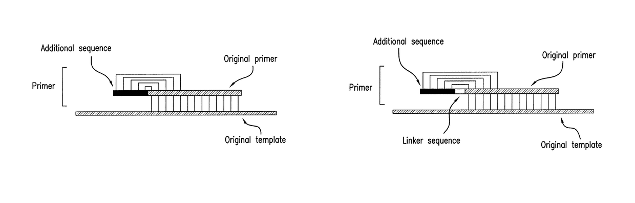 PCR primer capable of reducing non-specific amplification and PCR method using the PCR primer