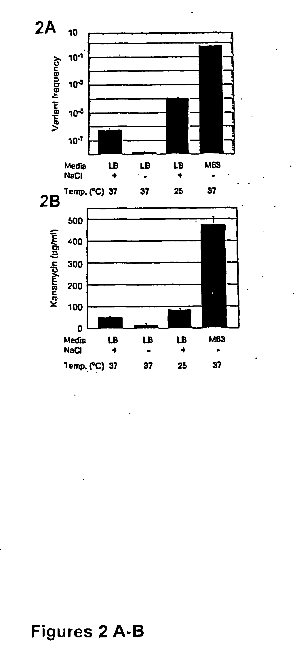 Regulators of biofilm formation and uses thereof