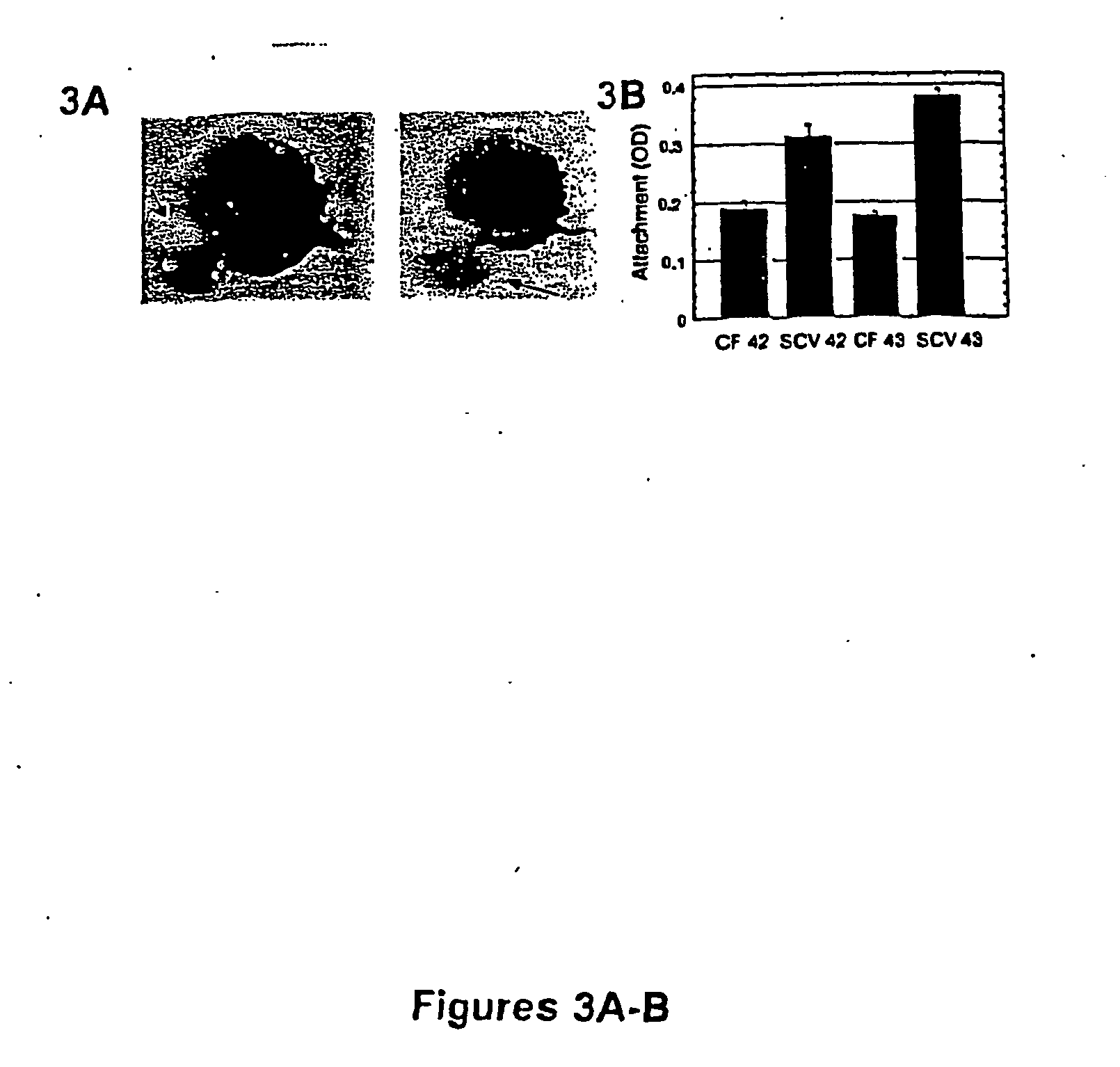 Regulators of biofilm formation and uses thereof