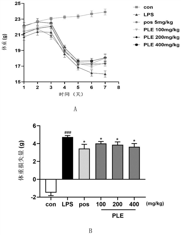 Application of perilla leaf extract in preparation of medicine for preventing and treating acute lung injury