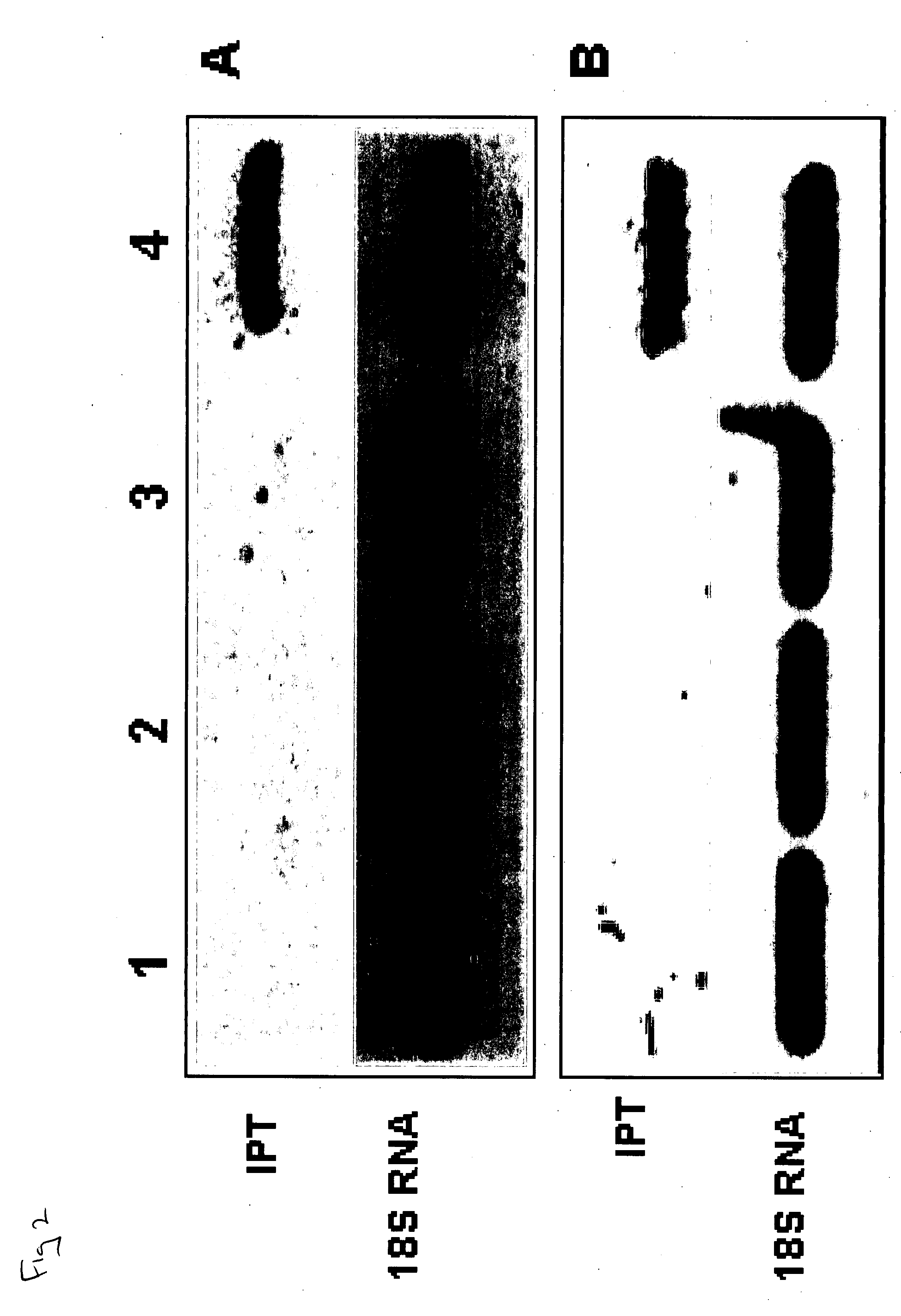 Method and composition for increasing plant survival & viability under cold storage, or dark and cold storage conditions