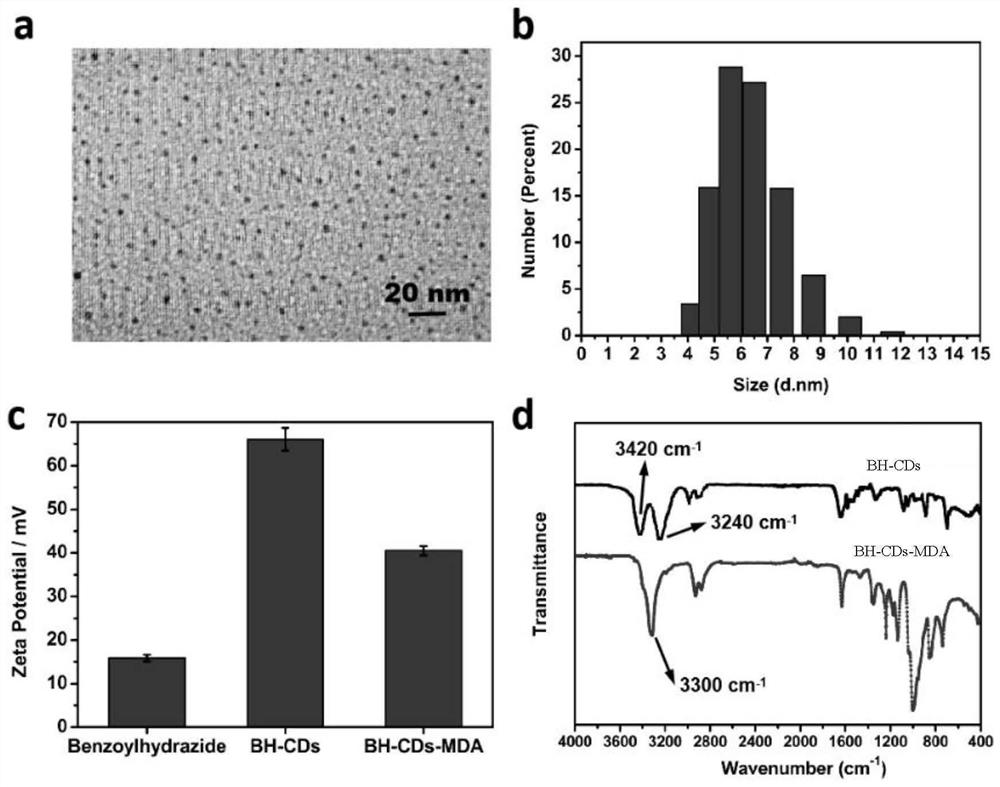 A kind of two-photon fluorescent carbon dot material and its synthesis method and application