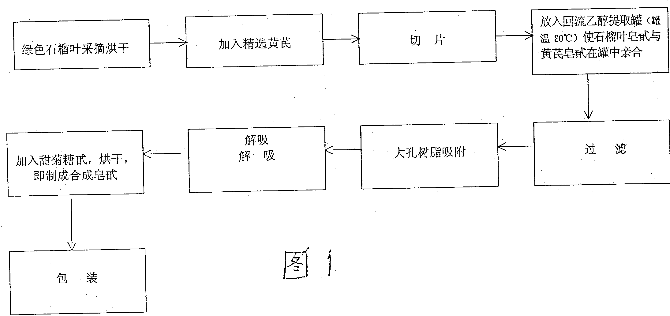 General glycoside extracted from pomegranate leaf and astragalus root and its producing method