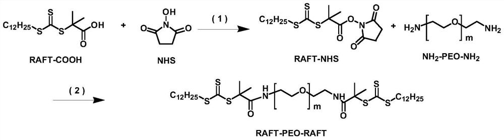 A kind of elastomer with flexible region constructed by hydrogen bond and preparation method thereof