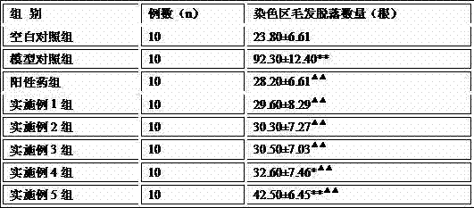 Traditional Chinese medicine composition for stopping alopecia and regenerating hair and preparation method thereof