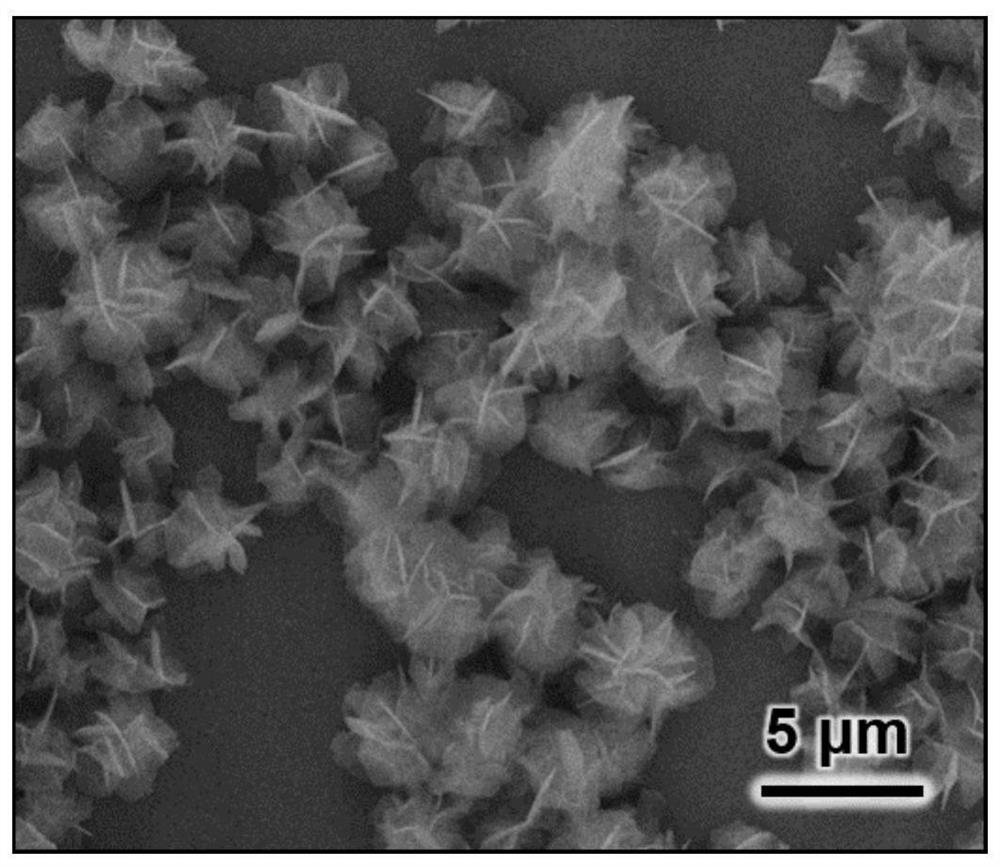A nitrogen-doped flower-shaped carbon nanomaterial with through-type mesopores and its preparation method