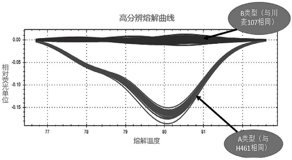 Molecular marker HRM5 of wheat few-tillering gene Ltn3 and application thereof