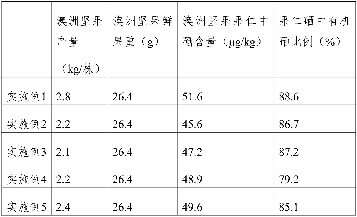 Selenium-rich and high yield cultivation method of macadamia ternifolia