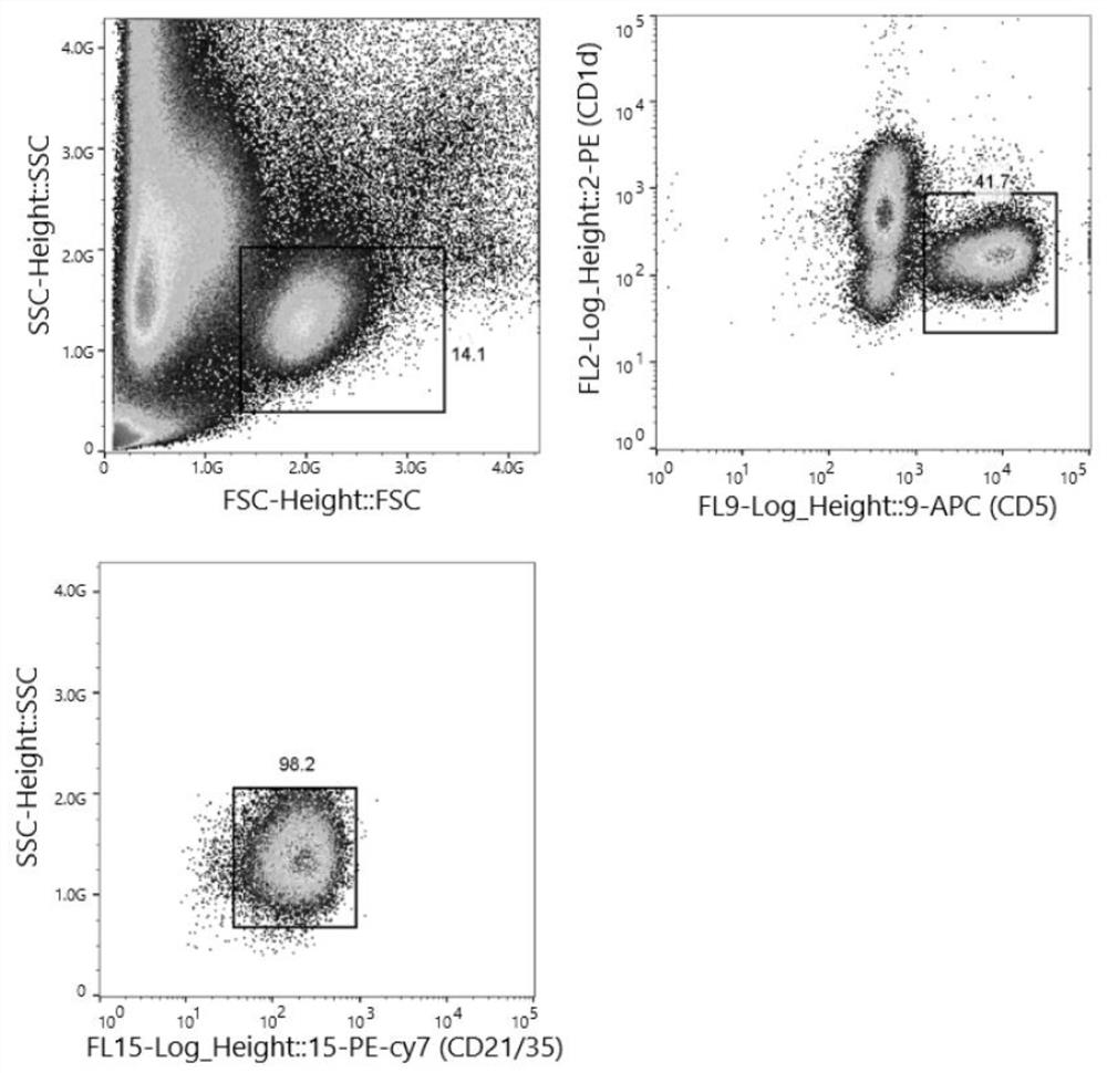 A kind of spleen-regulated B lymphocyte and its preparation method and application