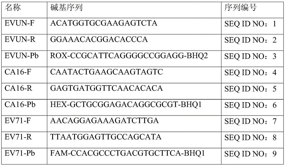Enterovirus triplex direct fluorescence RT-PCR (reverse transcription-polymerase chain reaction) detection kit and reaction system