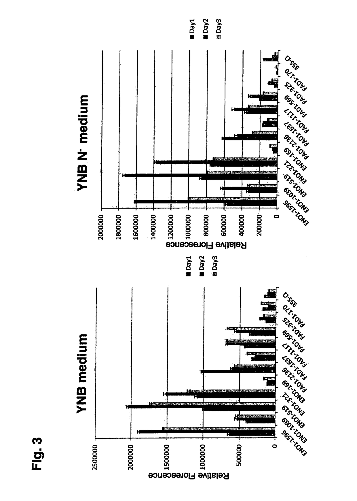 Polynucleotide sequences from rhodosporidium and rhodotorula and use thereof