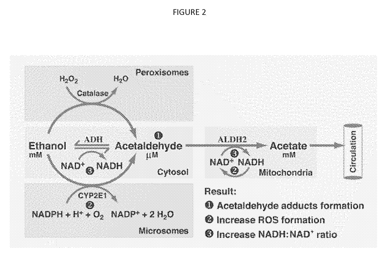 Methods and compositions for treating diseases
