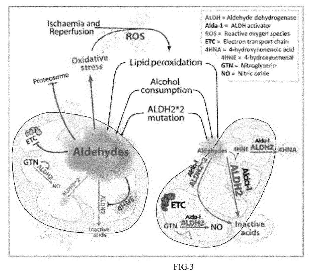 Methods and compositions for treating diseases