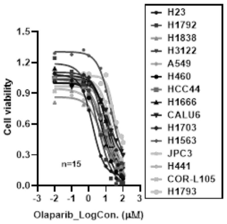 Biomarker for evaluating sensitivity of lung cancer patient to proton radiotherapy and application of biomarker