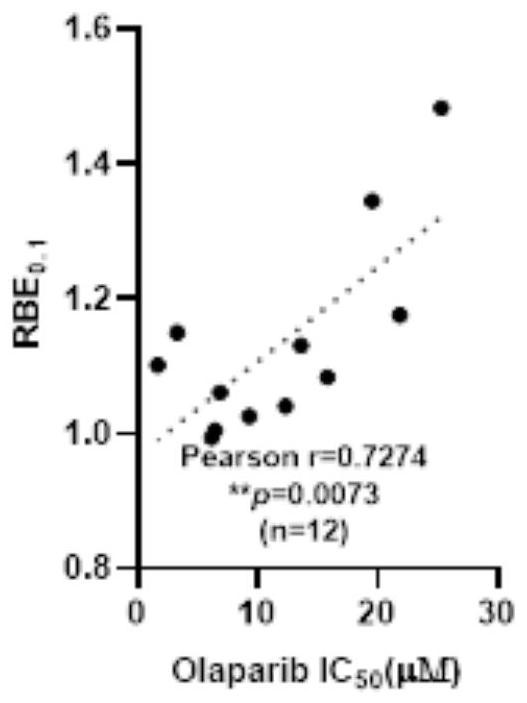 Biomarker for evaluating sensitivity of lung cancer patient to proton radiotherapy and application of biomarker