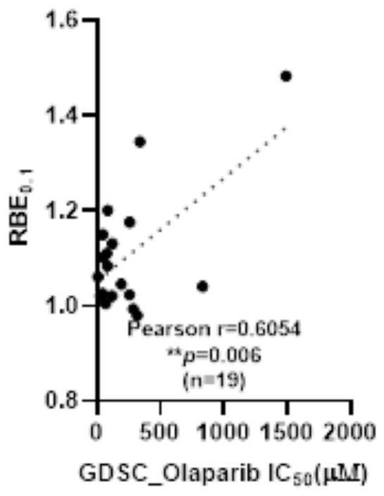 Biomarker for evaluating sensitivity of lung cancer patient to proton radiotherapy and application of biomarker