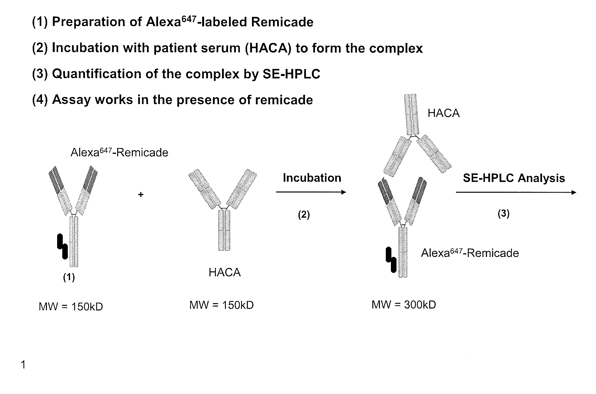 Assays for detecting autoantibodies to Anti-tnfalpha drugs