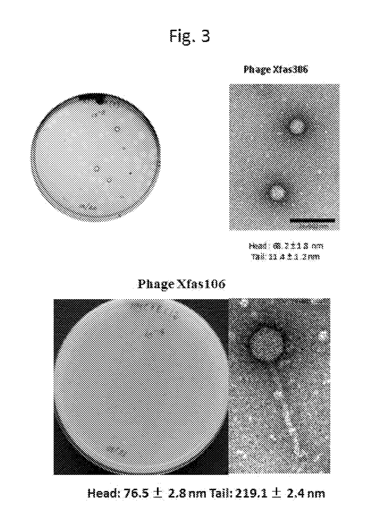 Method for treatment and control of plant disease