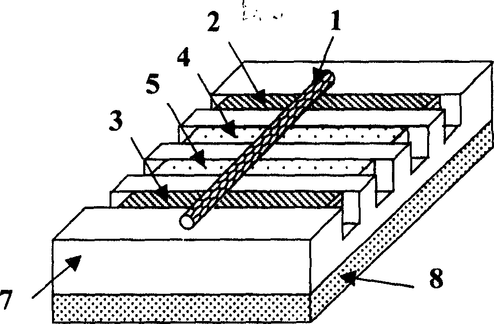 Carbon nano tube NOR logic device