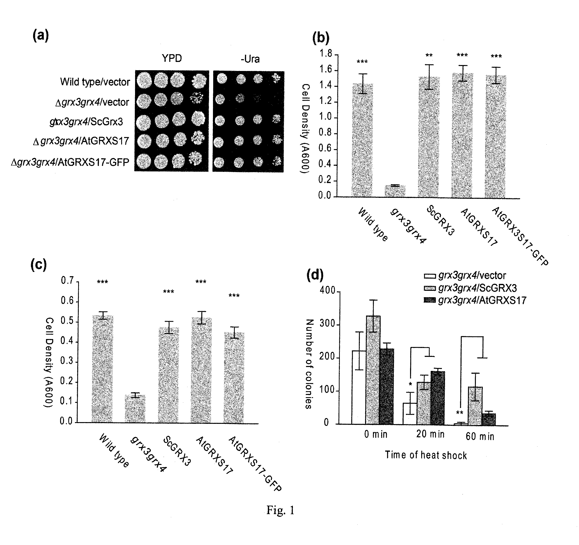 Plants with enhanced tolerance to multiple abiotic stresses