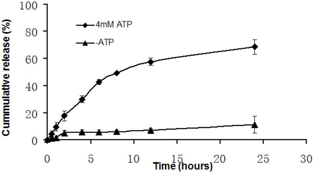 Drug-loading ATP sensitive liposome with tumor near infrared fluorescence development function and preparation method of drug-loading ATP sensitive liposome