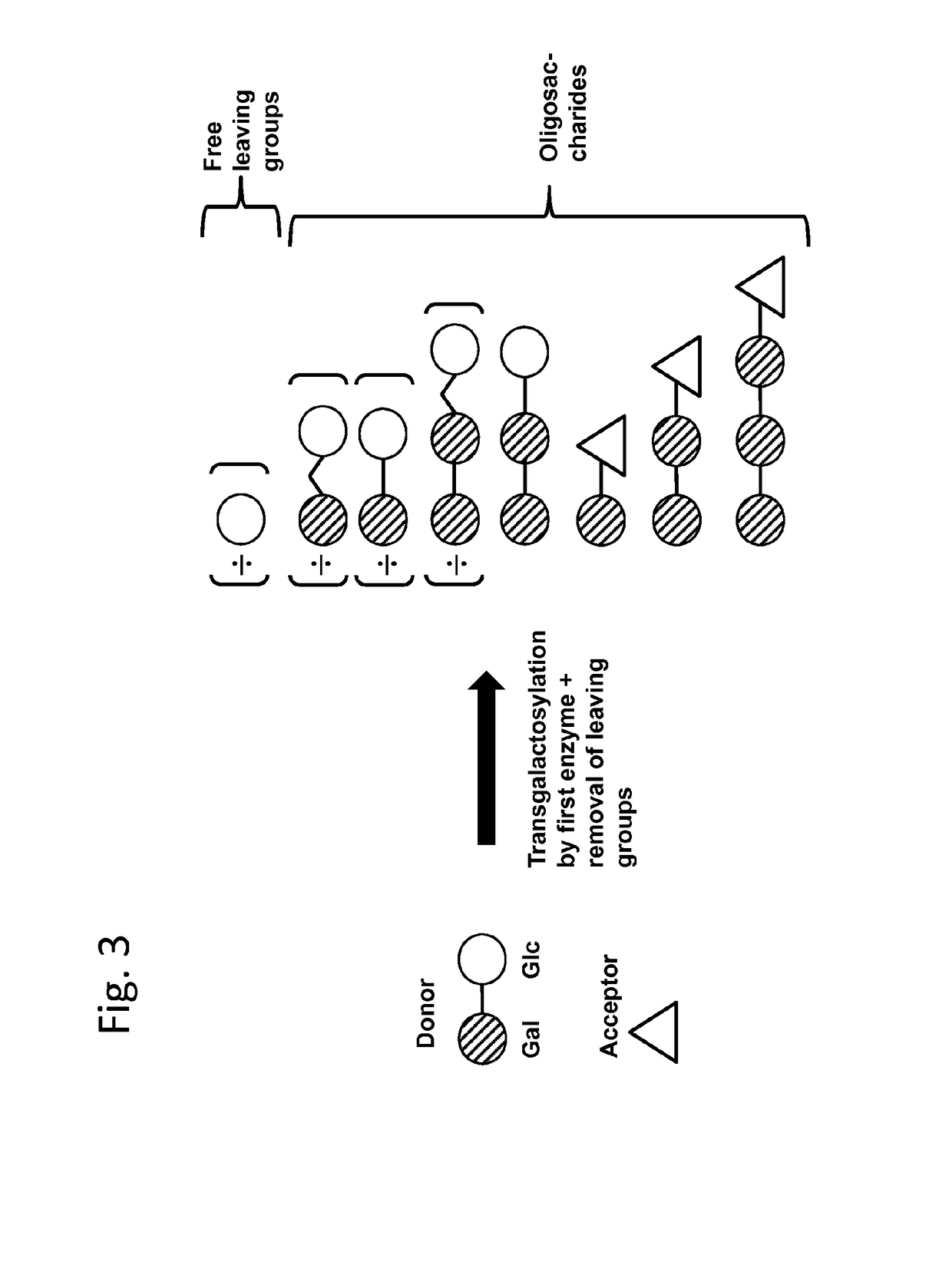 Method of producing a composition containing galacto-oligosacchardies