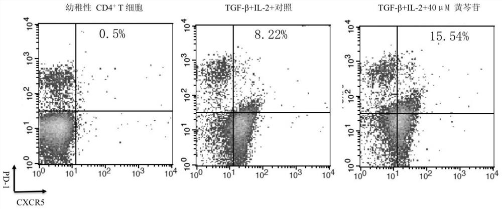 Composition, method and application thereof for obtaining follicular regulatory T cells in vitro