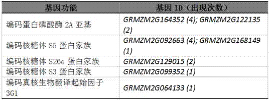 Method for predicting functions of unknown genes of maize based on dynamic correlation between gene expression level and characters