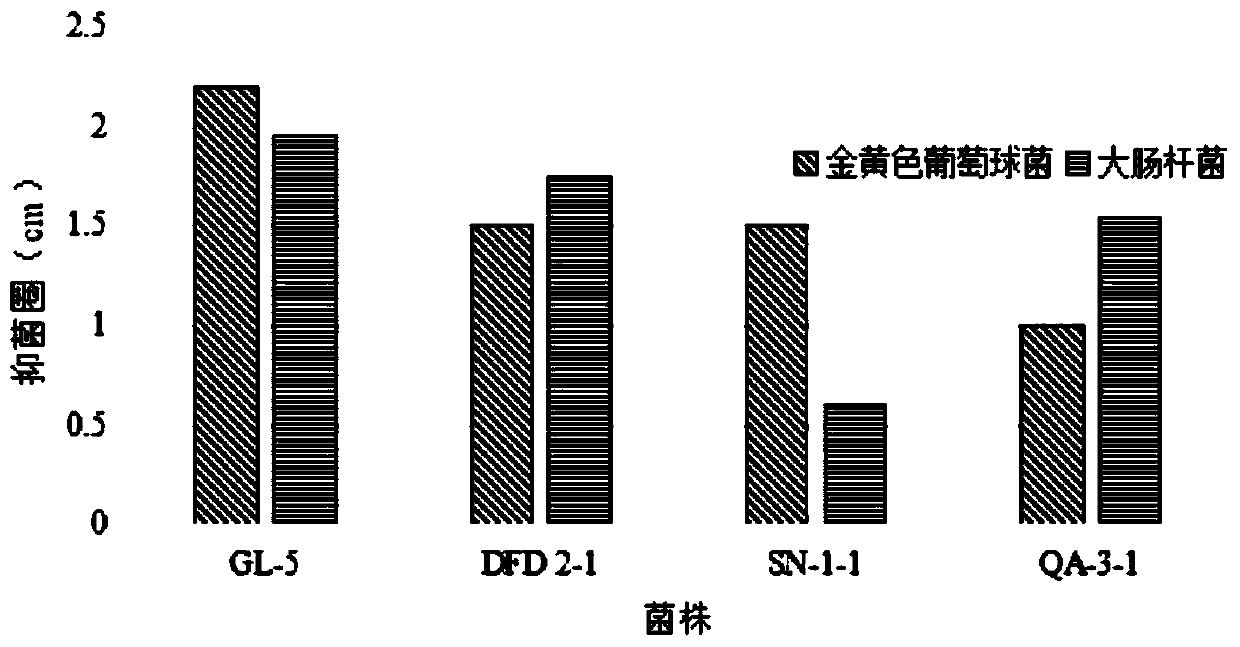 Lactobacillus plantarum GL-5 with oxidation resisting activity and application thereof