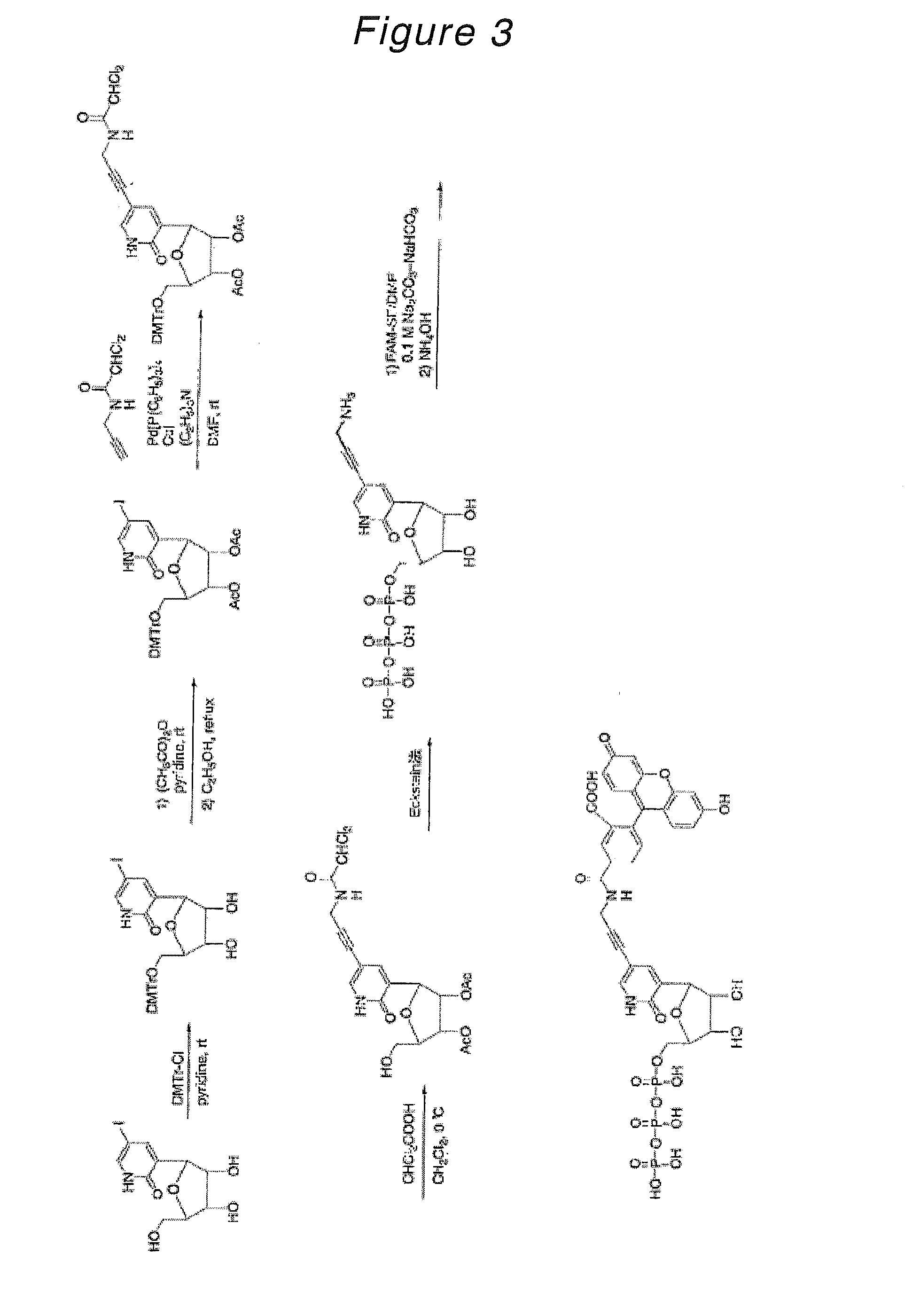 Novel Nucleoside or Nucleotide Derivative and Use Thereof
