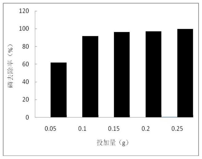 Method for recovering phosphorus from domestic sewage biological treatment system and directly recycling phosphorus