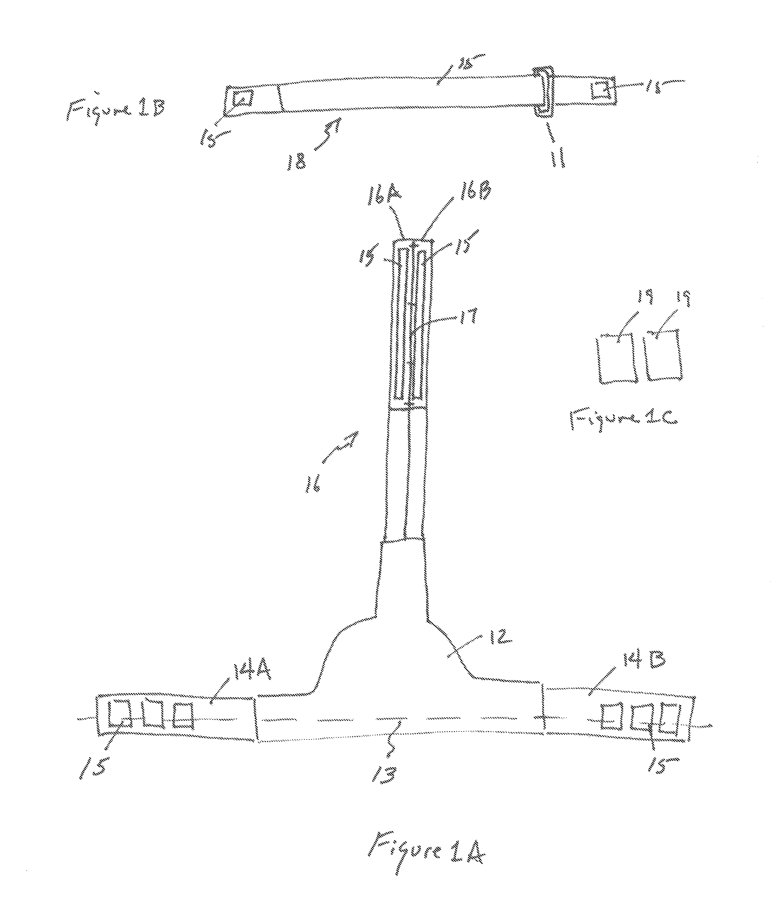 Head restraint apparatus