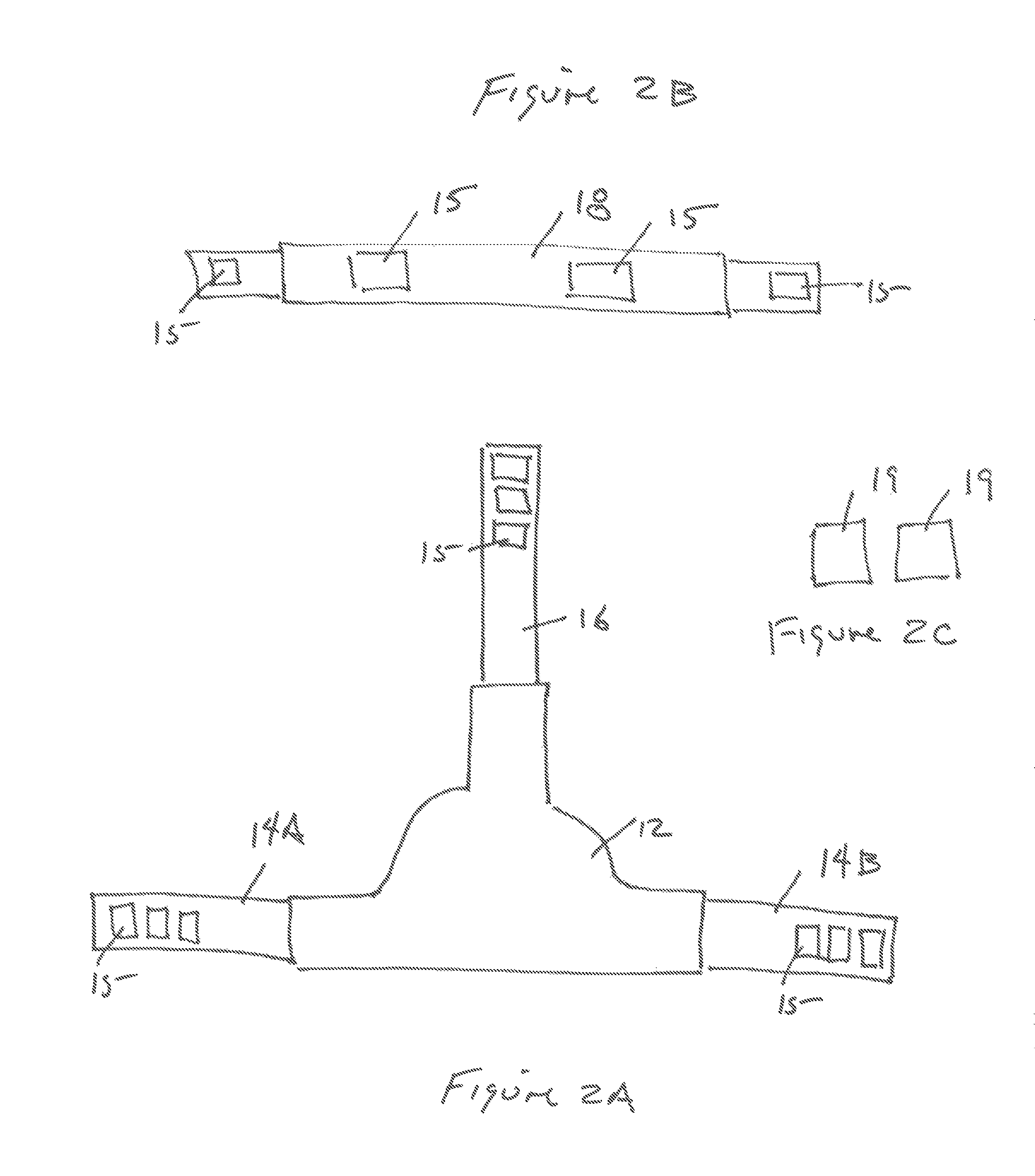 Head restraint apparatus