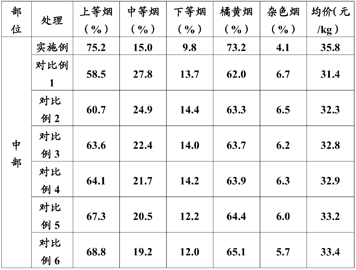 Tobacco leaf initial curing method, tobacco leaf, tobacco leaf composition, tobacco product and application