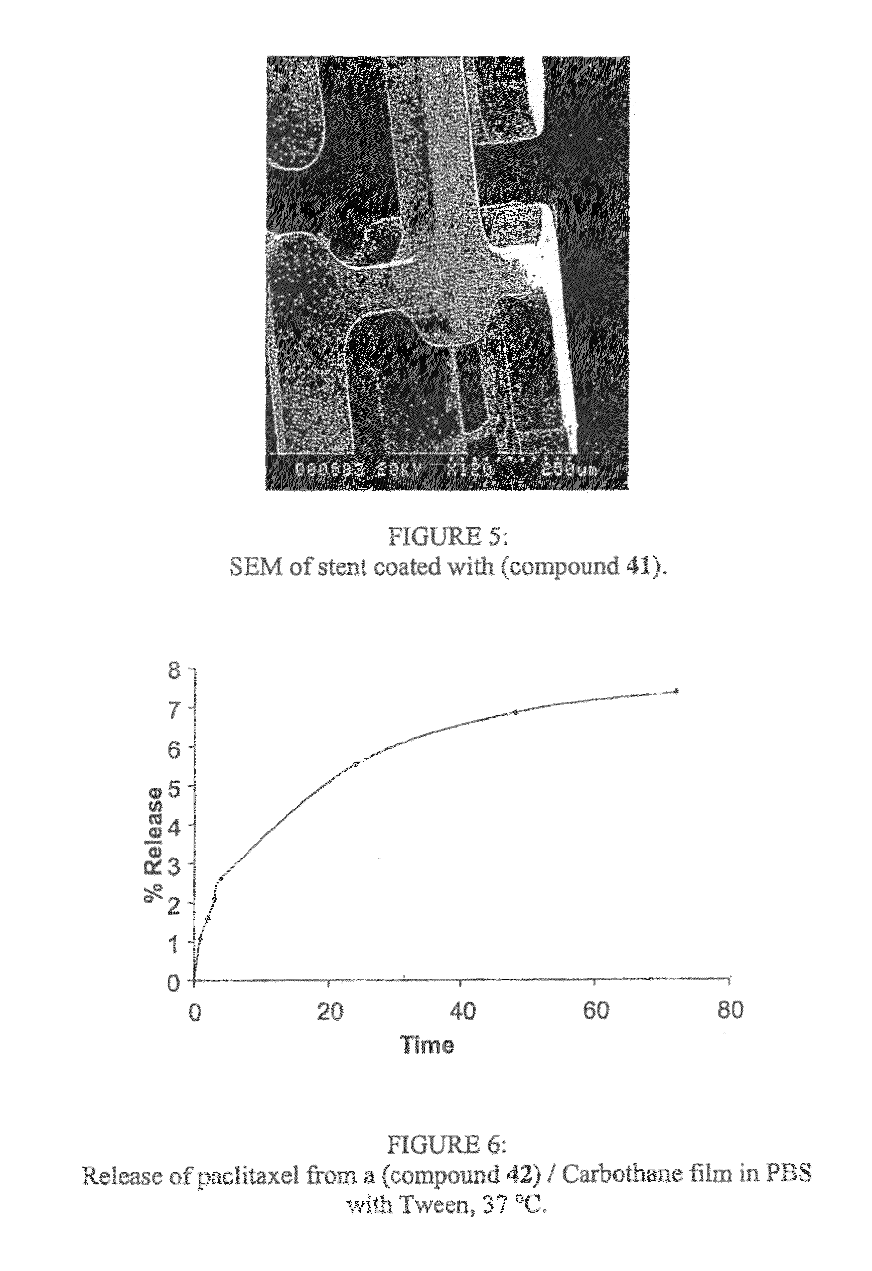 Grafted polymers and uses thereof