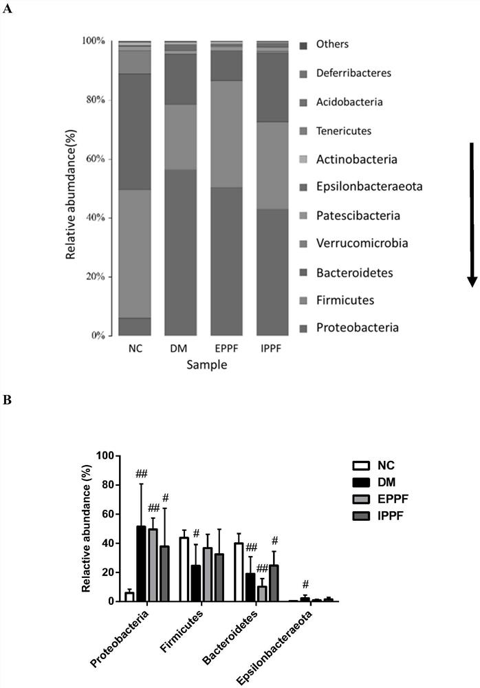 Preparation method of exopolysaccharide and intracellular polysaccharide of Fraxinus chinensis and application of exopolysaccharide and intracellular polysaccharide in regulating intestinal microbial flora and reducing blood sugar