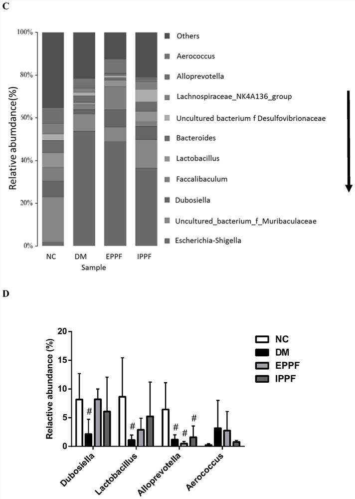 Preparation method of exopolysaccharide and intracellular polysaccharide of Fraxinus chinensis and application of exopolysaccharide and intracellular polysaccharide in regulating intestinal microbial flora and reducing blood sugar