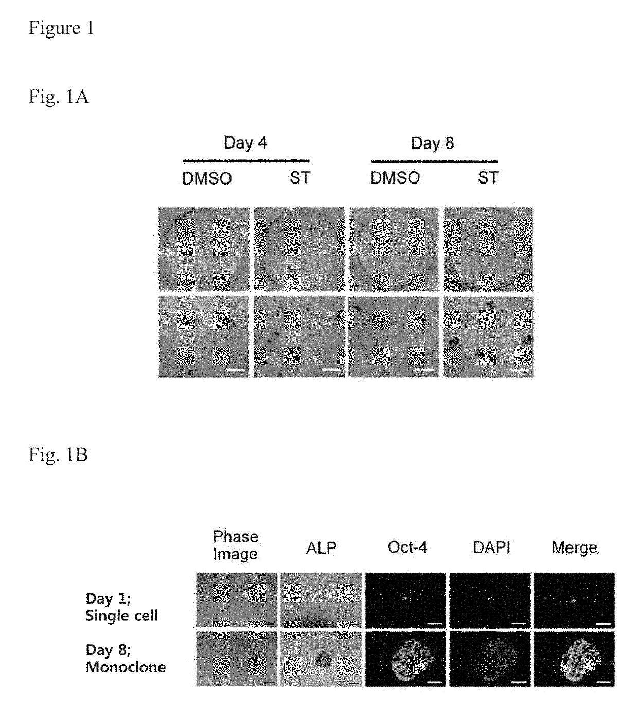 Small molecular stemazole for promoting stem cell clonal formation and applications thereof