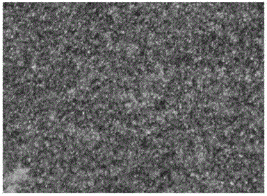 A test method for simulating the corrosion of Hastelloy alloy in the environment of bromine glue