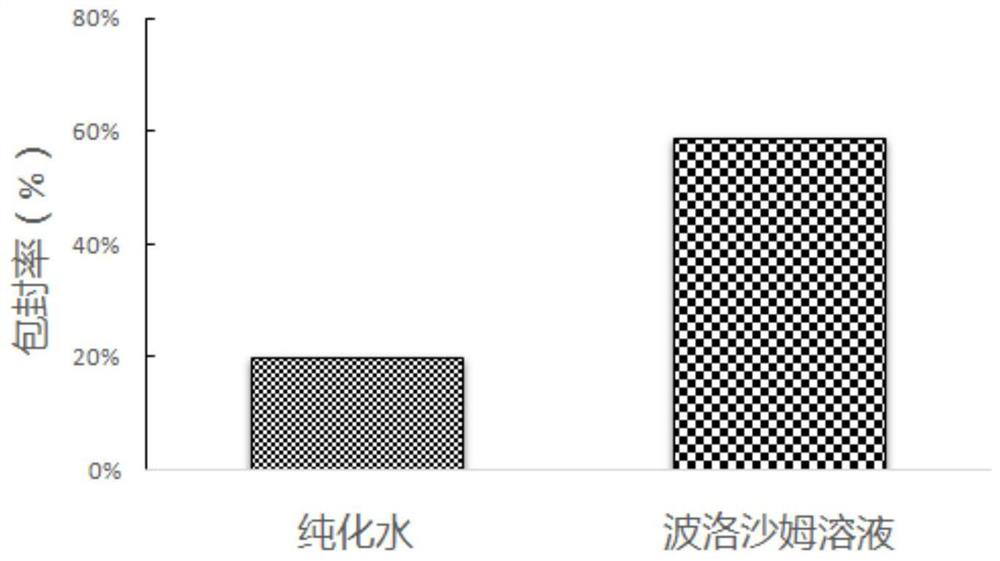 Paclitaxel nanoemulsion inhalation preparation for targeted therapy of lung cancer and preparation method of paclitaxel nanoemulsion inhalation preparation