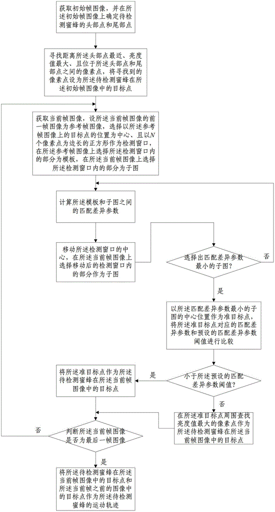 Method and system for unmarked image detection of bee trajectory