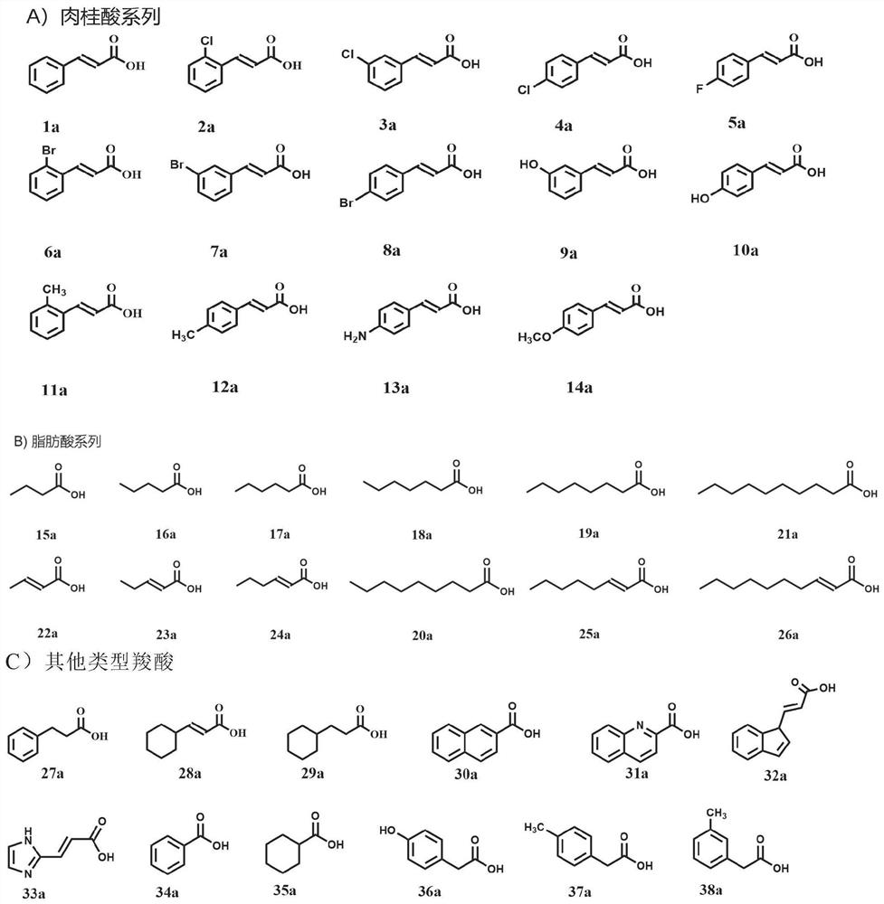 Acyl CoA synthetase and application thereof