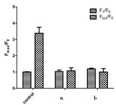 Novel compound extracted from nardostachys chinensis as well as preparation method and application thereof