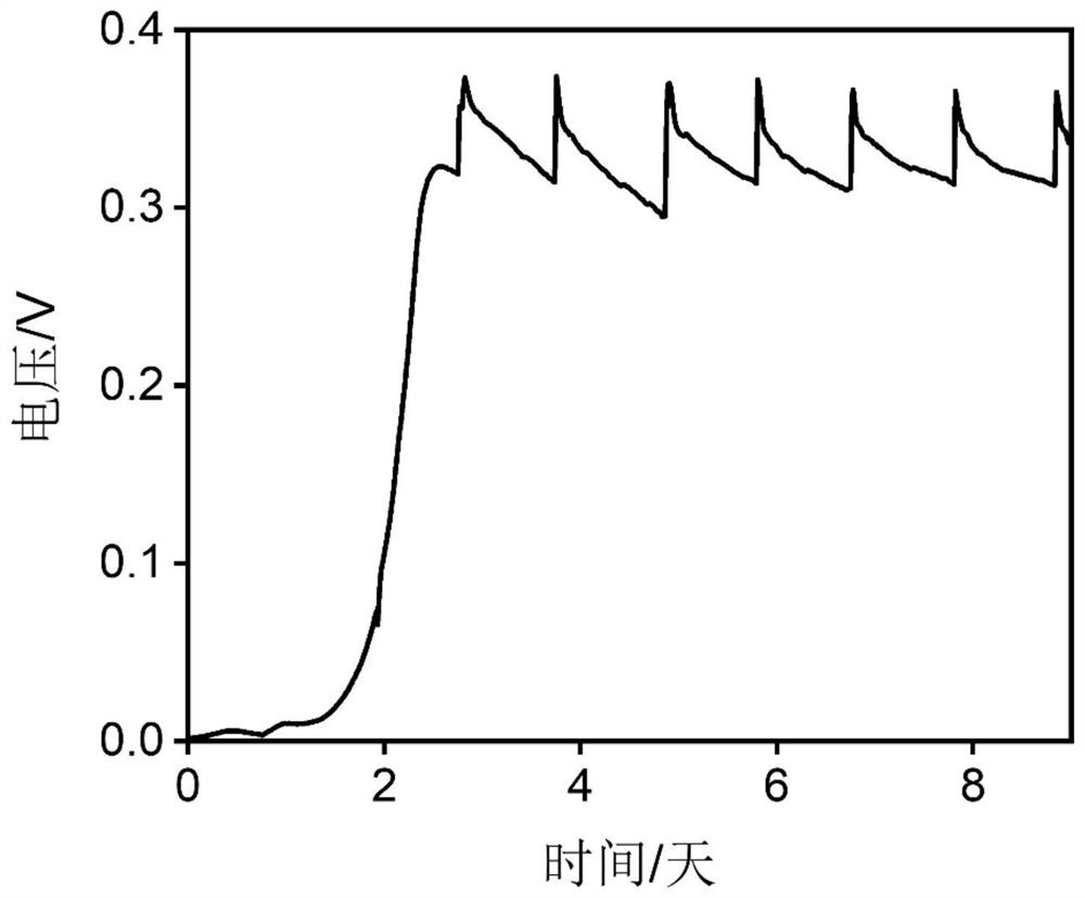 Bioelectrochemical method for real-time in-situ detection of nitrite in sewage