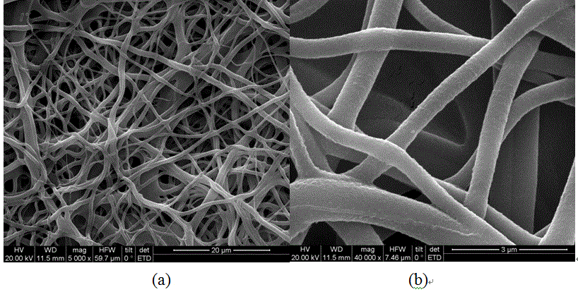 Preparation method of oxidized cellulose nanofiber membrane sheet with fast bleeding stopping function